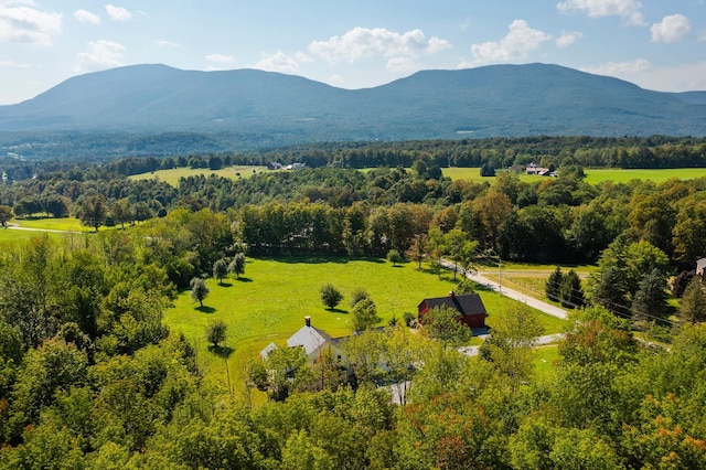 birds eye view of property with a mountain view