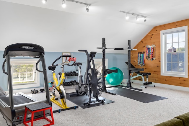 exercise room with a healthy amount of sunlight, rail lighting, vaulted ceiling, and wood walls