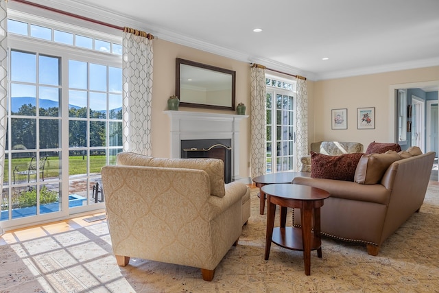 living room featuring a mountain view and ornamental molding