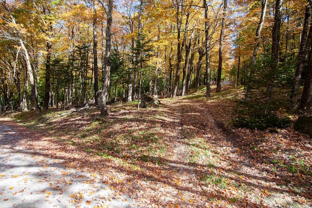 Listing photo 3 for 1052 Ccc Rd, Shrewsbury VT 05738