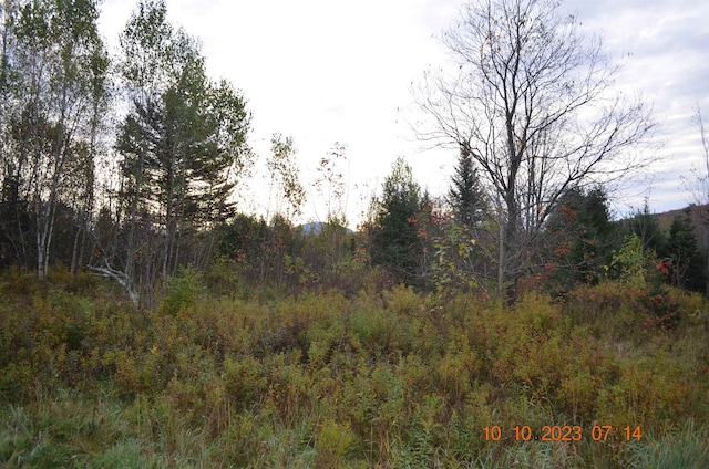 00 Sheffield Rd, Sutton VT, 05867 land for sale