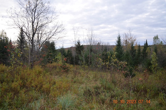 Listing photo 3 for 00 Sheffield Rd, Sutton VT 05867