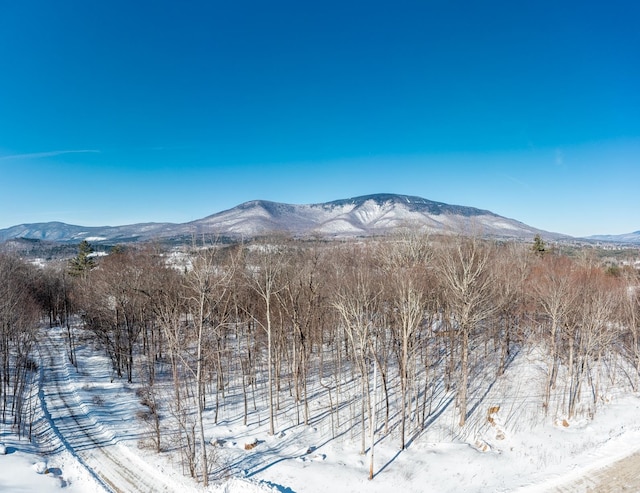 420 S Hill Rd, Manchester VT, 05255 land for sale