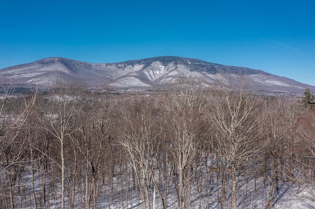 Listing photo 2 for 420 S Hill Rd, Manchester VT 05255