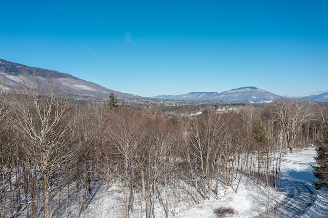 Listing photo 3 for 420 S Hill Rd, Manchester VT 05255