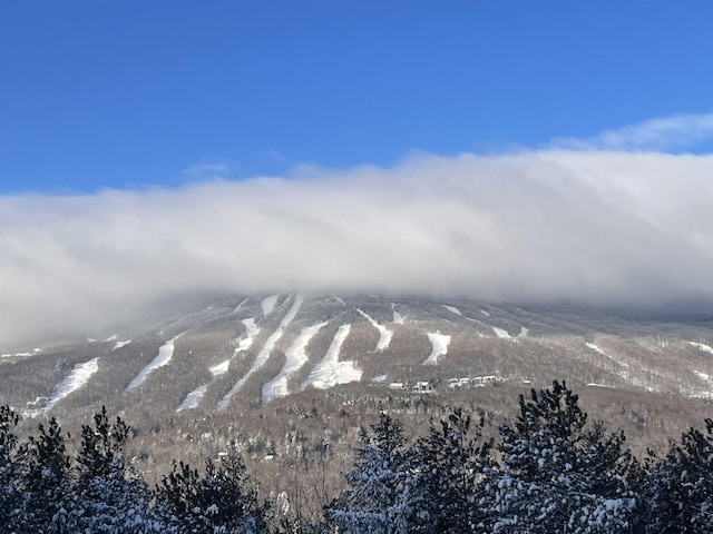 view of mountain feature