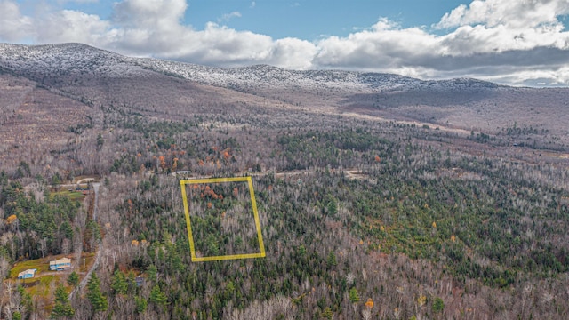 0 Rte 115, Carroll, NH 03598