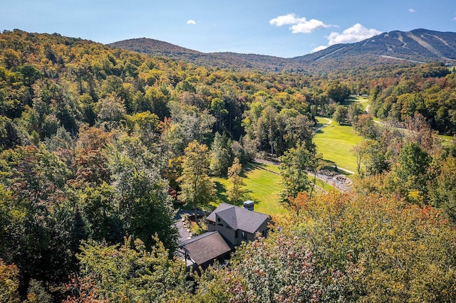 birds eye view of property featuring a mountain view