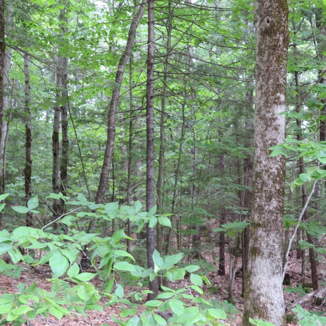 LOT67 Sandwich Slopes Rd, Sandwich NH, 03227 land for sale