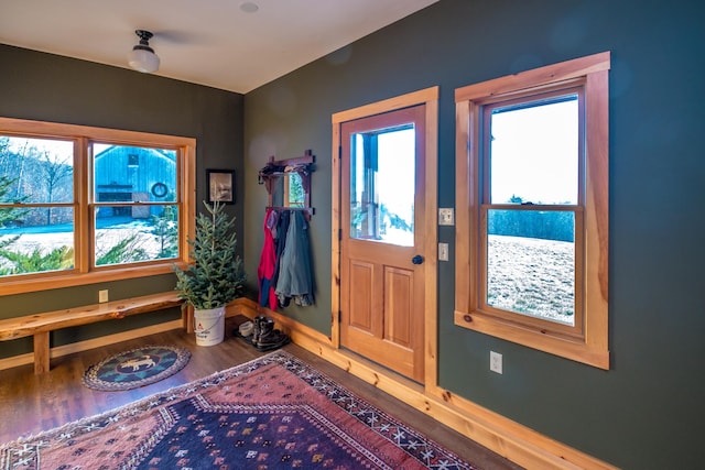 foyer entrance with hardwood / wood-style flooring and a healthy amount of sunlight