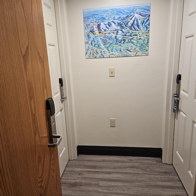 entryway featuring dark hardwood / wood-style flooring