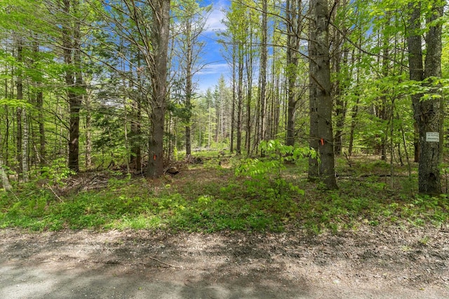 0 Sarum Hill Ln, Randolph VT, 05060 land for sale