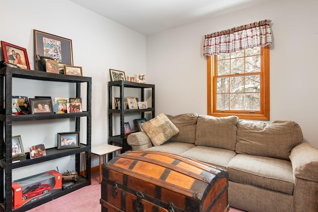 view of carpeted living area