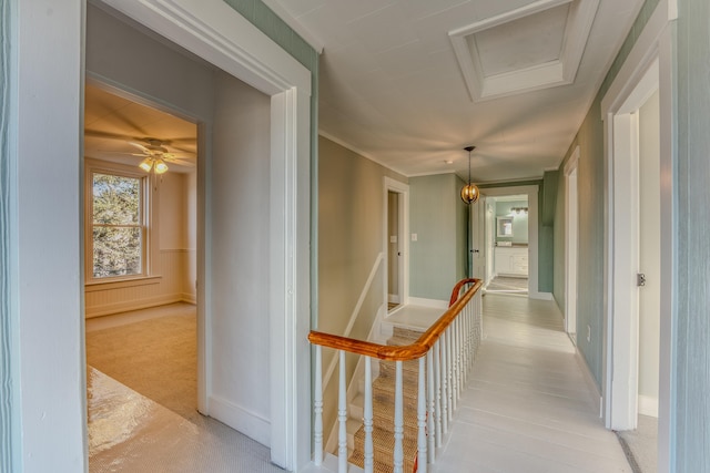 hallway with light carpet