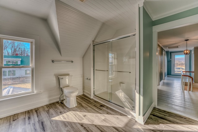 bathroom featuring toilet, an enclosed shower, and wood-type flooring