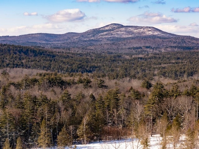 Woodward Hill Rd, Francestown NH, 03043 land for sale