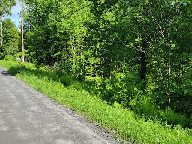 000 W Rd, Barnard, VT 05031