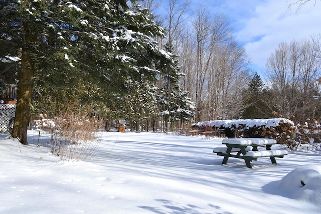 view of snowy yard