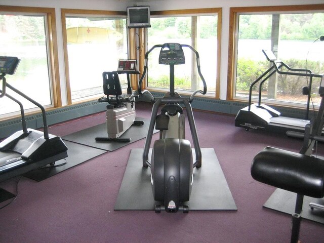 exercise room featuring carpet flooring