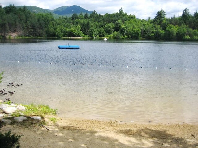 property view of water featuring a mountain view