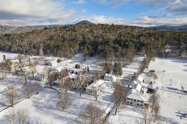 snowy aerial view with a mountain view