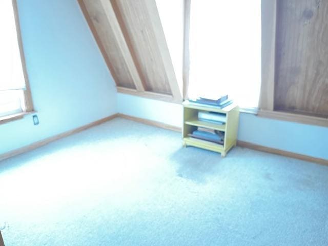bonus room with carpet flooring and baseboards