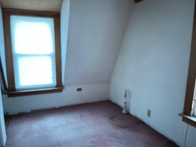 bonus room featuring lofted ceiling and carpet flooring