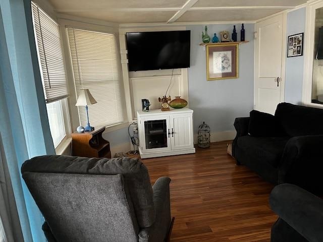 living area with dark wood-style floors