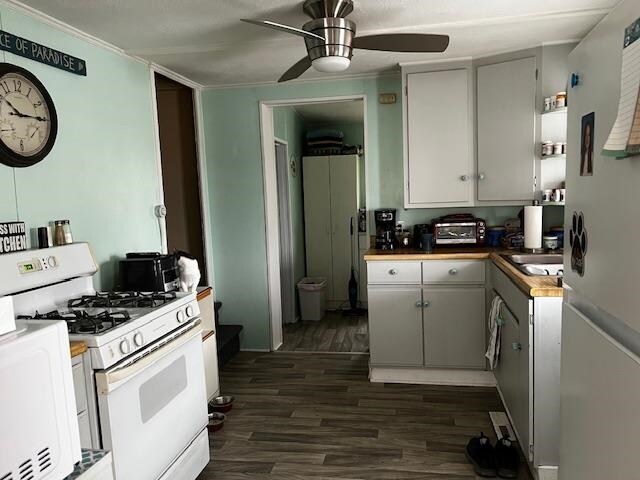 kitchen featuring dark wood-style floors, a toaster, white gas range, ceiling fan, and a sink