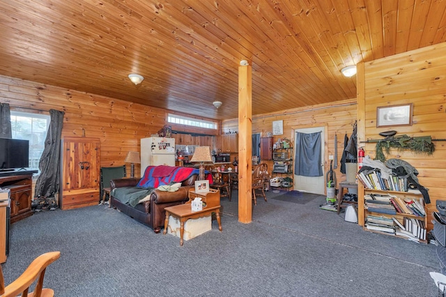 203 Kingston Rd, Danville, NH 03819 - living area featuring healthy amount of natural light, carpet flooring, wooden walls, and wooden ceiling