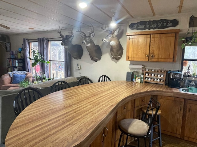 kitchen with a breakfast bar area, kitchen peninsula, ceiling fan, and a healthy amount of sunlight