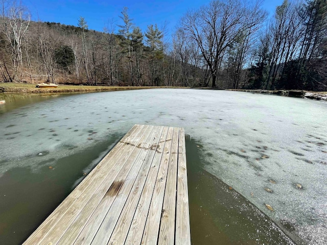 view of dock with a water view