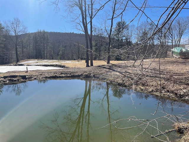 property view of water featuring a view of trees