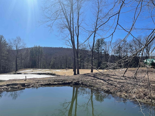 water view with a forest view