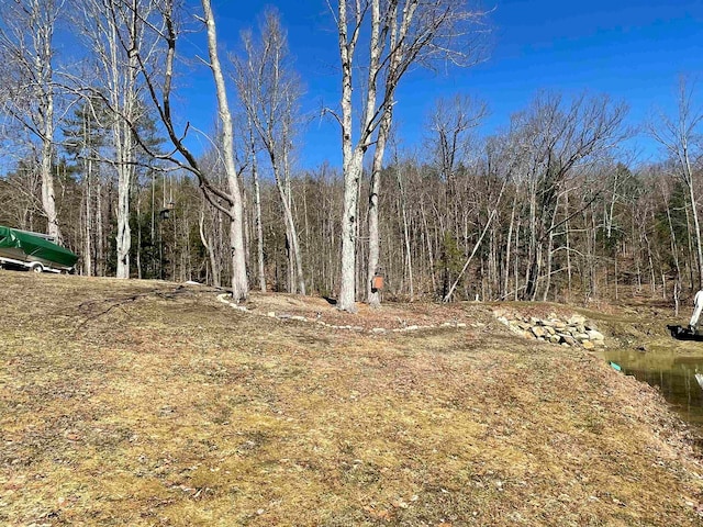 view of yard with a view of trees