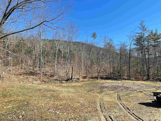 view of yard featuring a wooded view