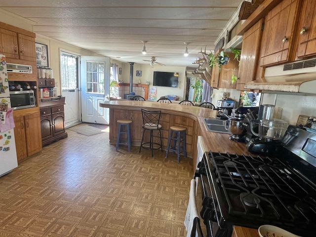 kitchen with stainless steel appliances, a wood stove, a sink, a peninsula, and under cabinet range hood