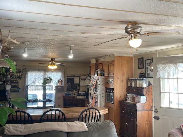 living room featuring ceiling fan, crown molding, and a healthy amount of sunlight