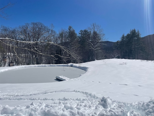 yard covered in snow featuring a wooded view