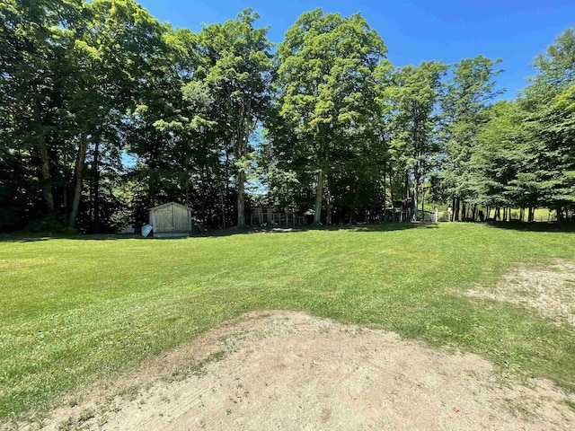 view of yard with a storage shed and an outbuilding