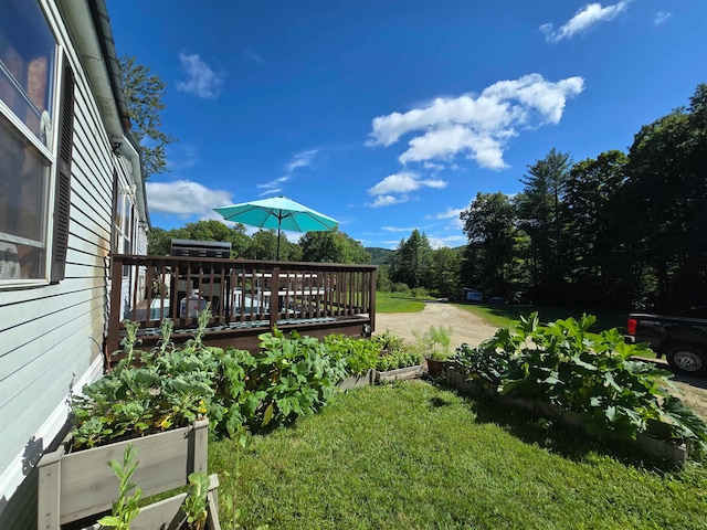 view of yard featuring a deck