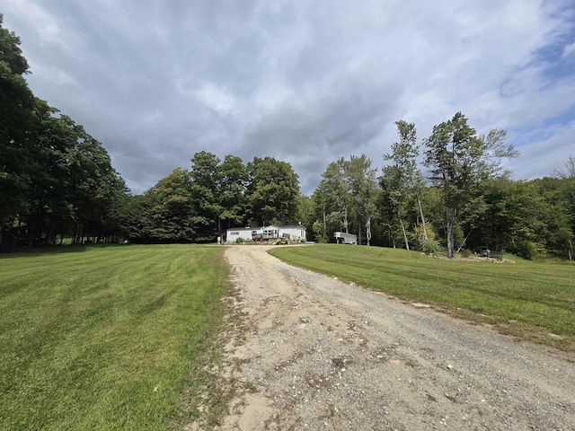 view of road featuring dirt driveway and a view of trees