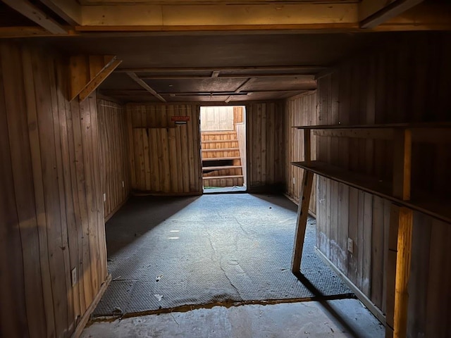 basement with wooden walls