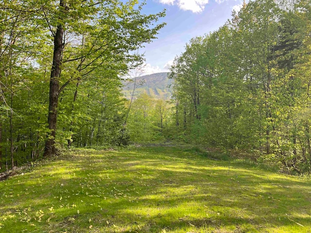 view of local wilderness with a mountain view