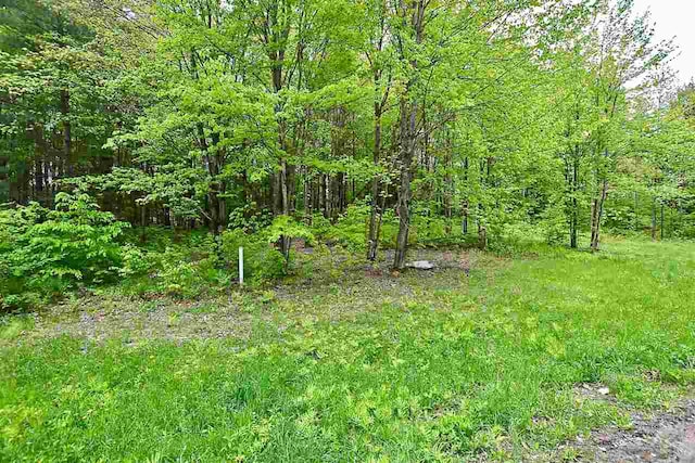 Listing photo 3 for 10 Hastings Rd, Waitsfield VT 05673