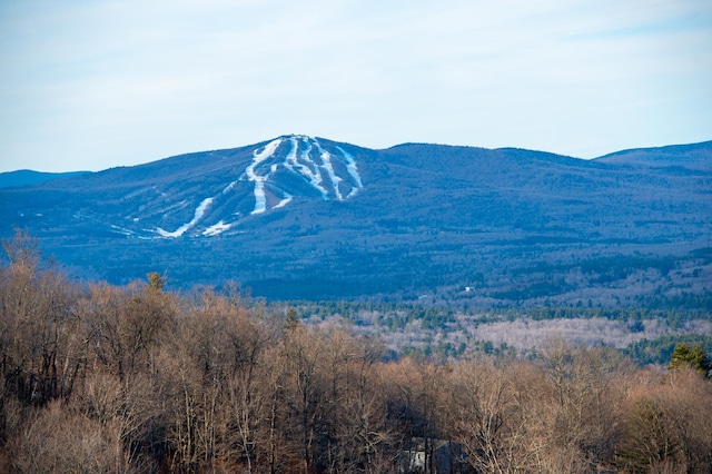 69 Benson Fuller Rd, Winhall VT, 05340 land for sale