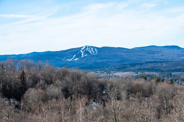 Listing photo 2 for 69 Benson Fuller Rd, Winhall VT 05340