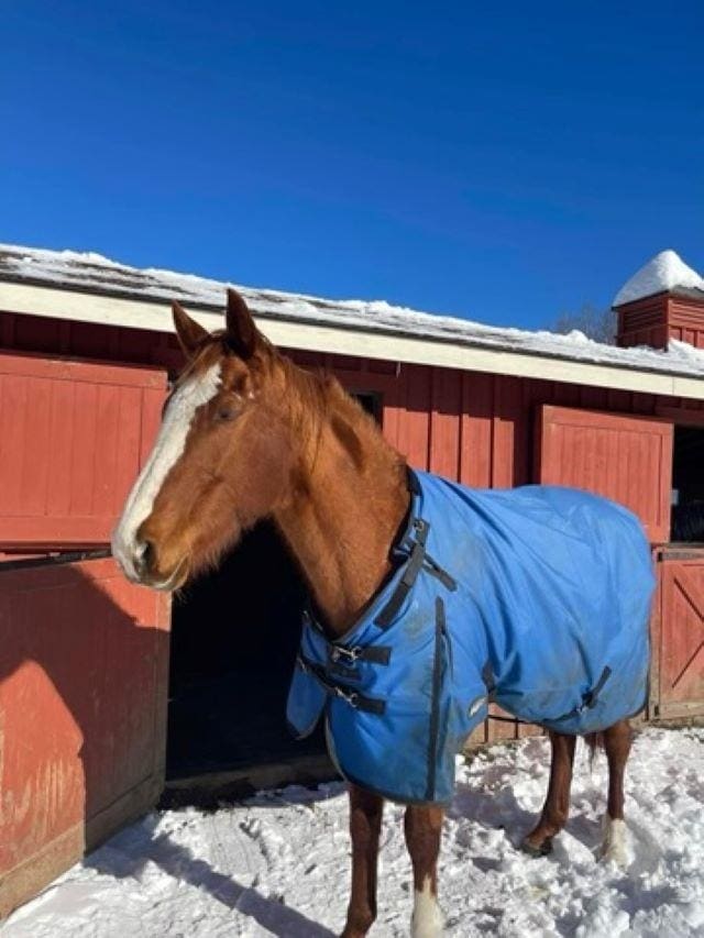 17 Tracy Hill Rd, Northfield, VT 05663 - view of horse barn