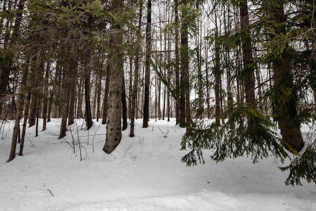 00 Okemo Acres, Ludlow VT, 05149 land for sale