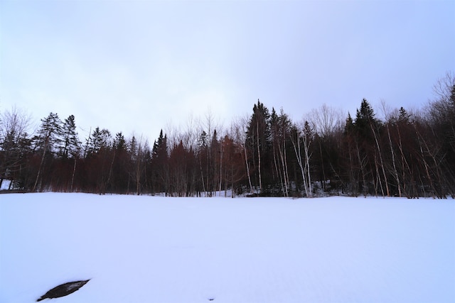 view of yard covered in snow